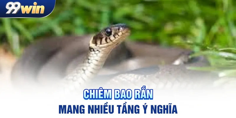 Chiêm bao rắn mang nhiều tầng ý nghĩa