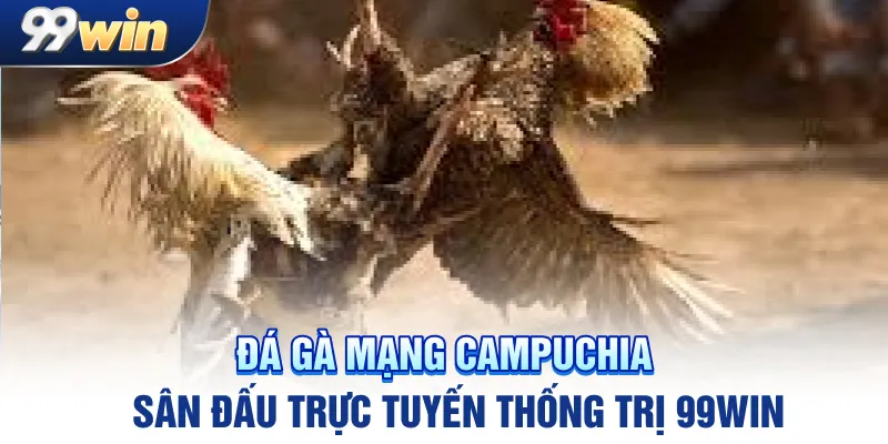 da-ga-mang-campuchia-–-san-dau-truc-tuyen-thong-tri-99win