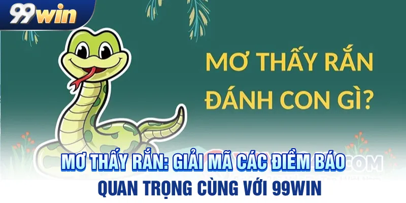 mo-thay-ran-giai-ma-cac-diem-bao-quan-trong-cung-voi-99win_11zon