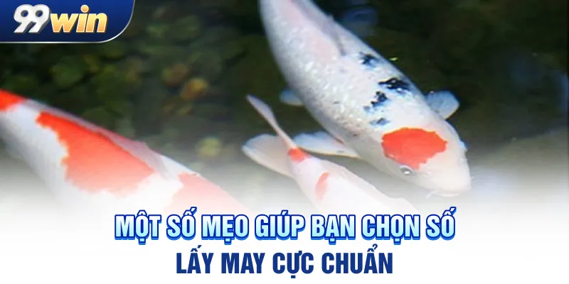 Một số mẹo giúp bạn chọn số lấy may cực chuẩn