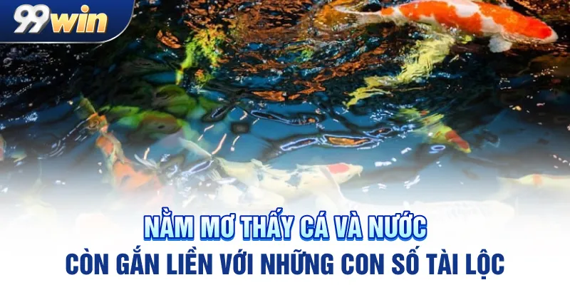 Nằm mơ thấy cá và nước còn gắn liền với những con số tài lộc