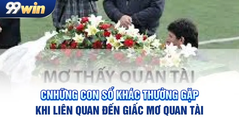 nhung-con-so-khac-thuong-gap-khi-lien-quan-den-giac-mo-quan-tai_11zon