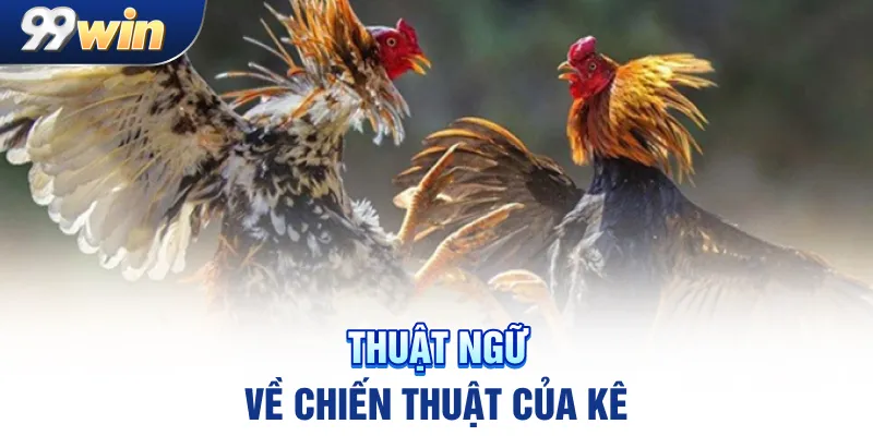 Thuật ngữ về chiến thuật của kê